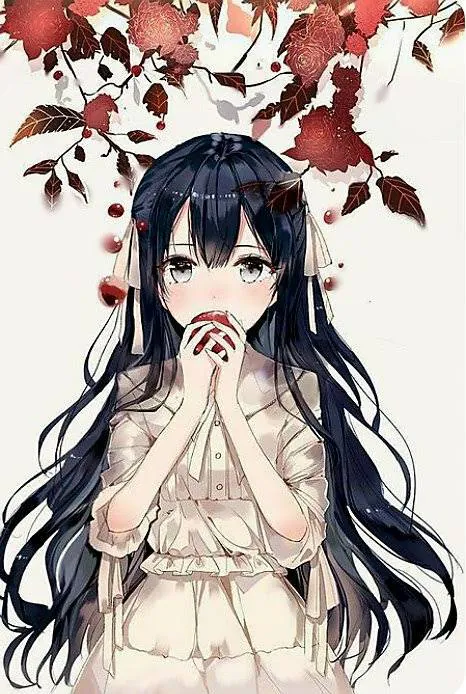 Image postée par le membre