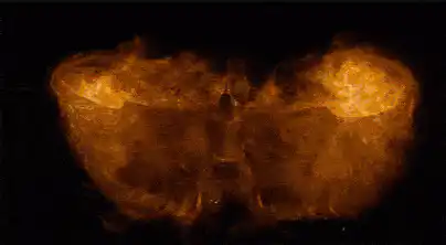 Image postée par le membre
