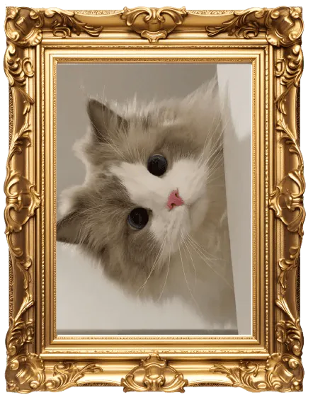 Image postée par le membre