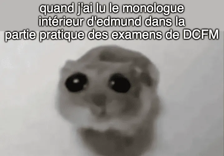 Image postée par le membre