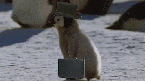 Image postée par le membre