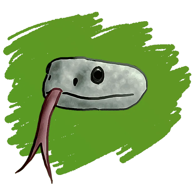 Image postée par le membre