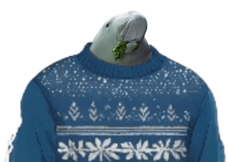 Image postée par le membre