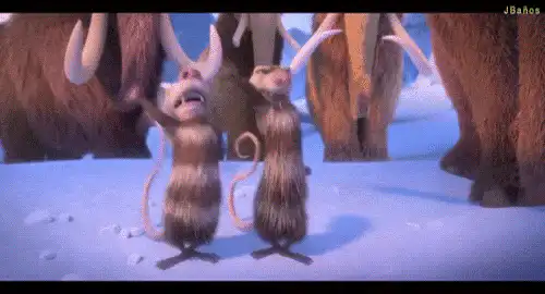 Image postée par le membre