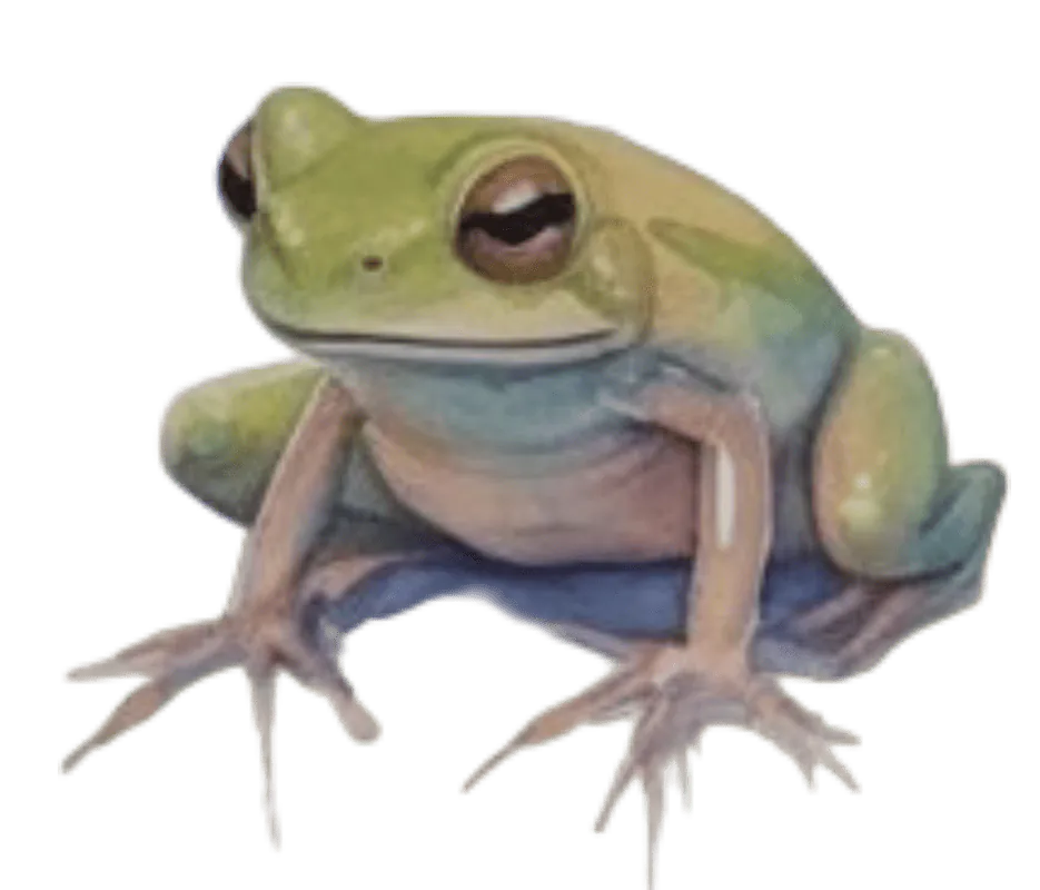 Image postée par le membre