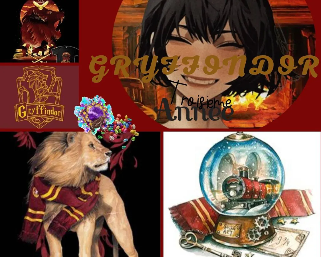 Image postée par le membre