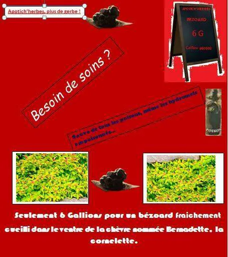 Image postée par le membre