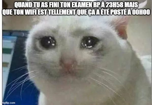 Image postée par le membre