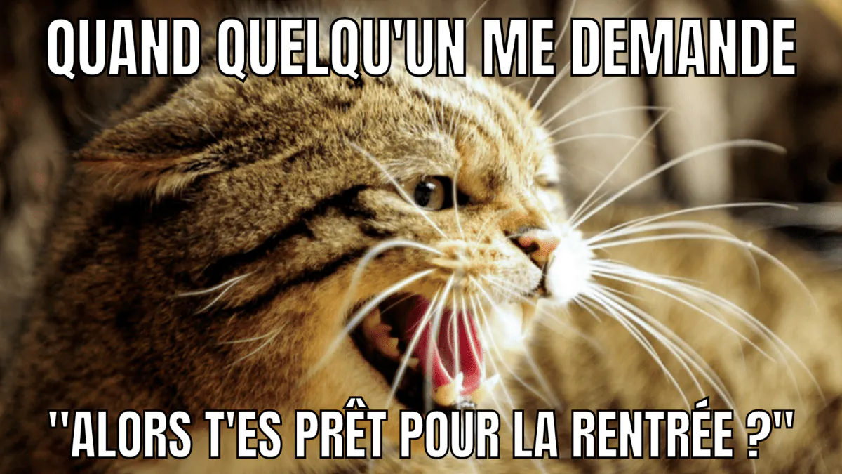 Image postée par le membre