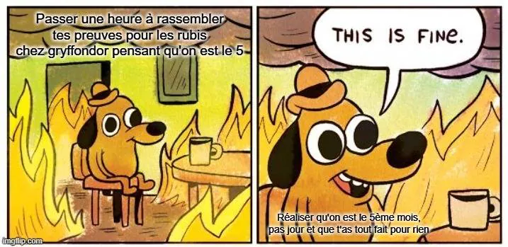 Image postée par le membre