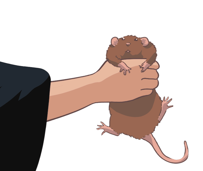 Image postée par le membre