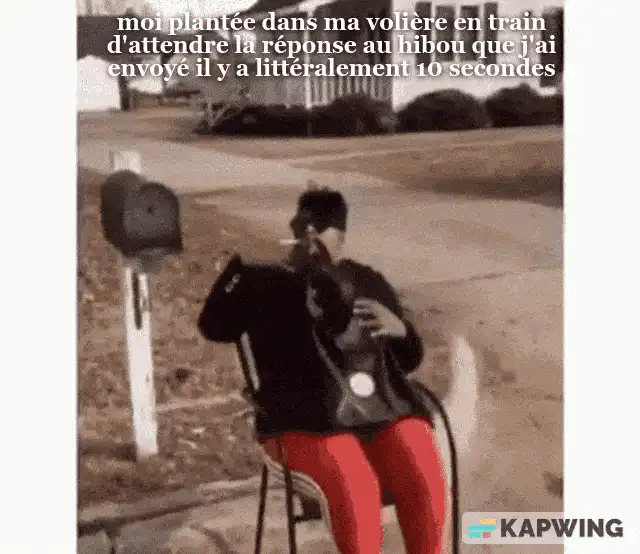 Image postée par le membre
