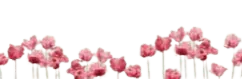 Image postée par le membre