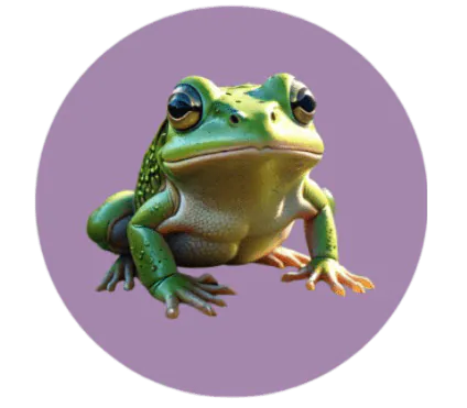 Image postée par le membre