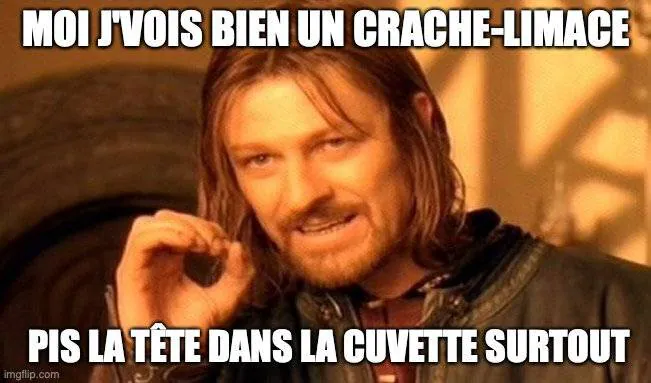 Image postée par le membre