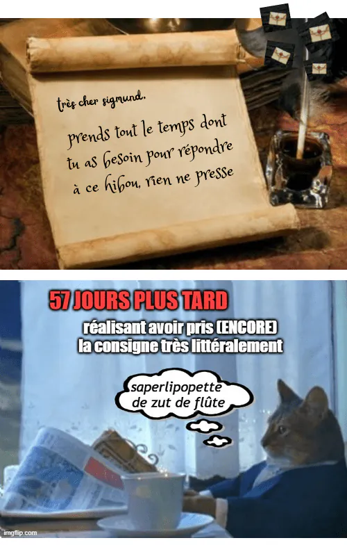 Image postée par le membre