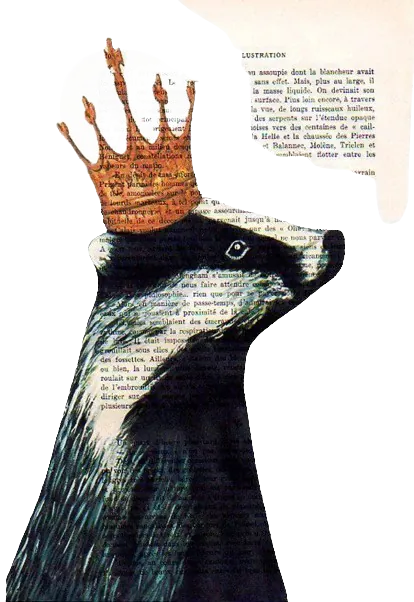 Image postée par le membre