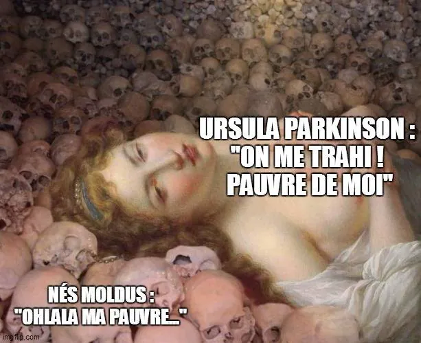 Image postée par le membre