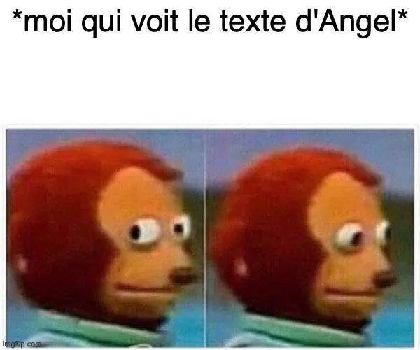 Image postée par le membre