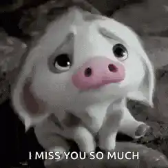 Image postée par le membre