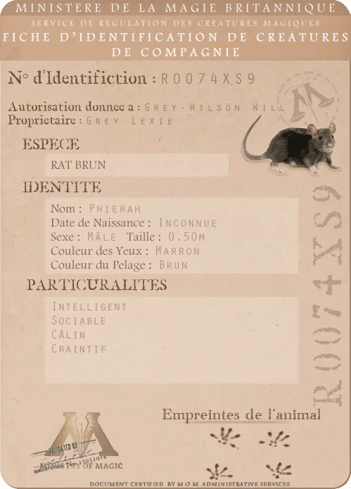 Image postée par le membre
