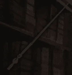 Image postée par le membre
