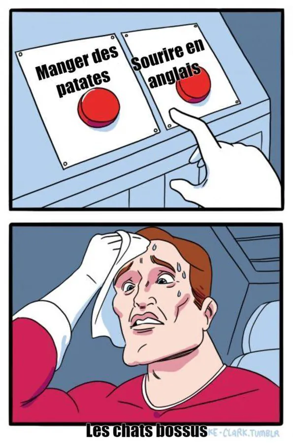 Image postée par le membre
