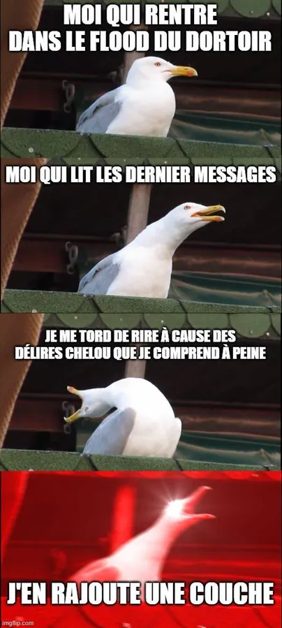 Image postée par le membre