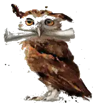 Image postée par le membre