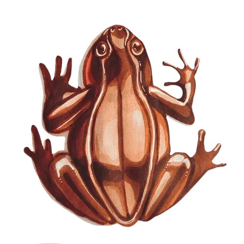 Image postée par le membre