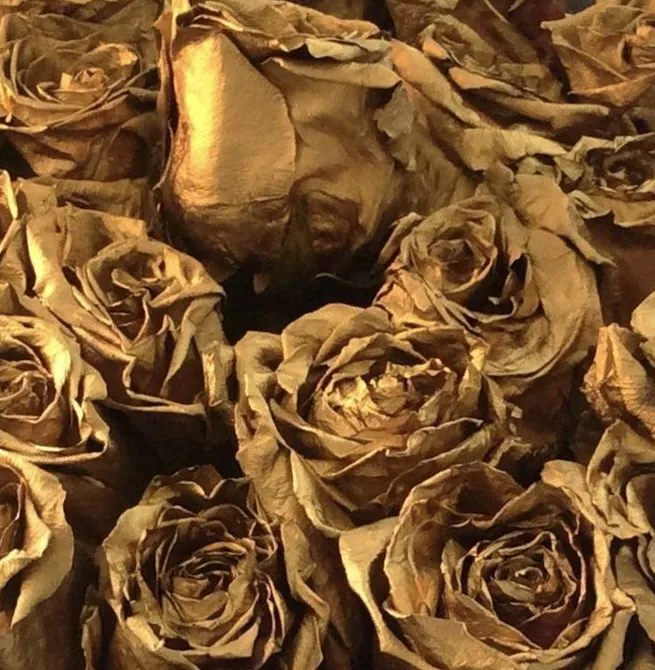 des roses dorées