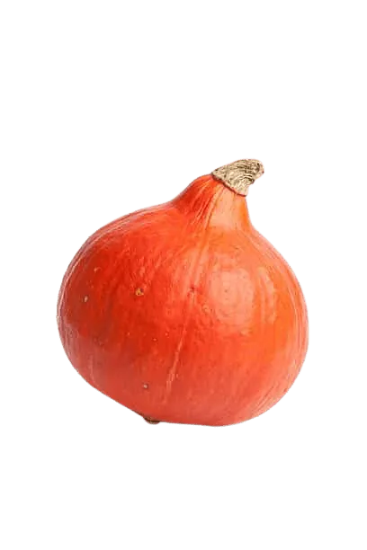Image postée par le membre