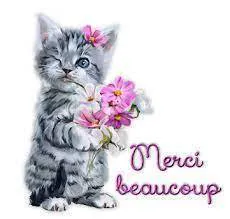 Image postée par le membre