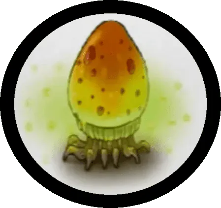 Image postée par le membre