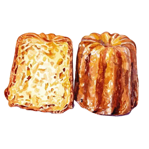 Image postée par le membre