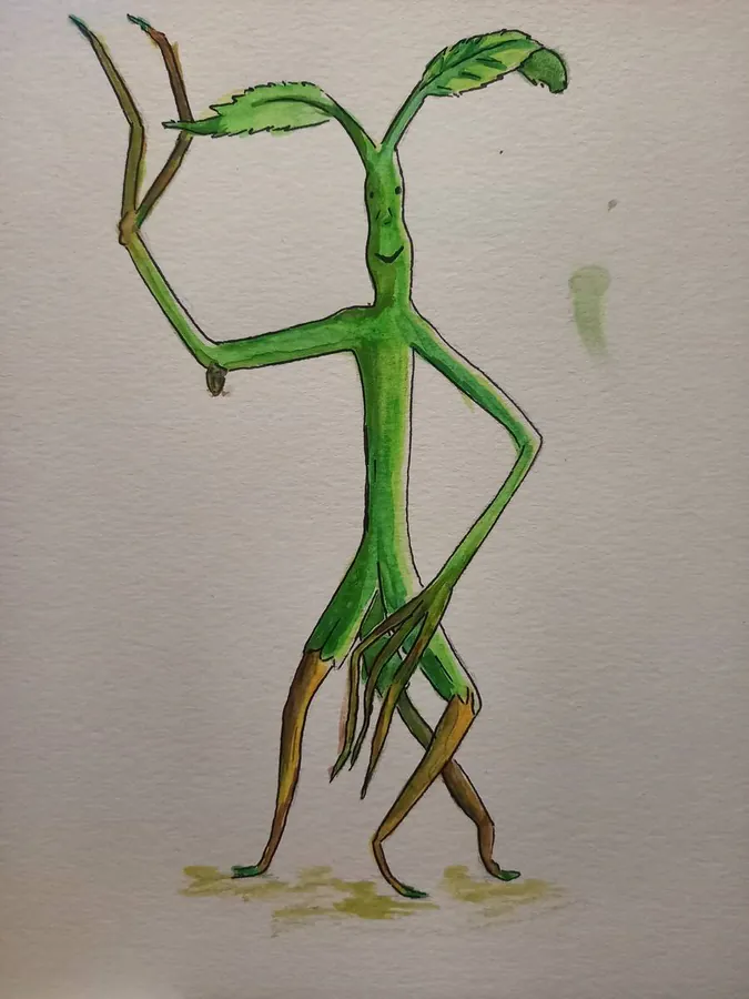Image postée par le membre