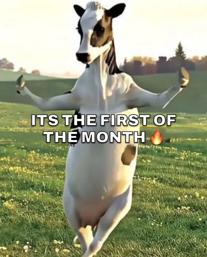 Image postée par le membre