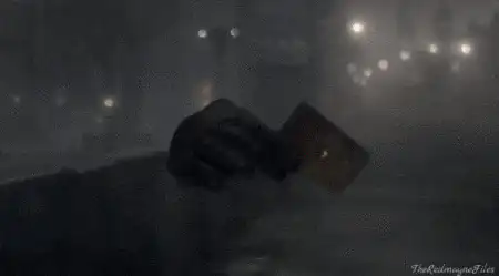 Image postée par le membre