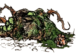 Image postée par le membre