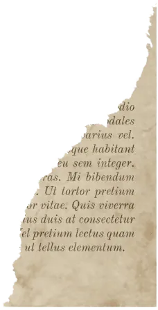 Image postée par le membre
