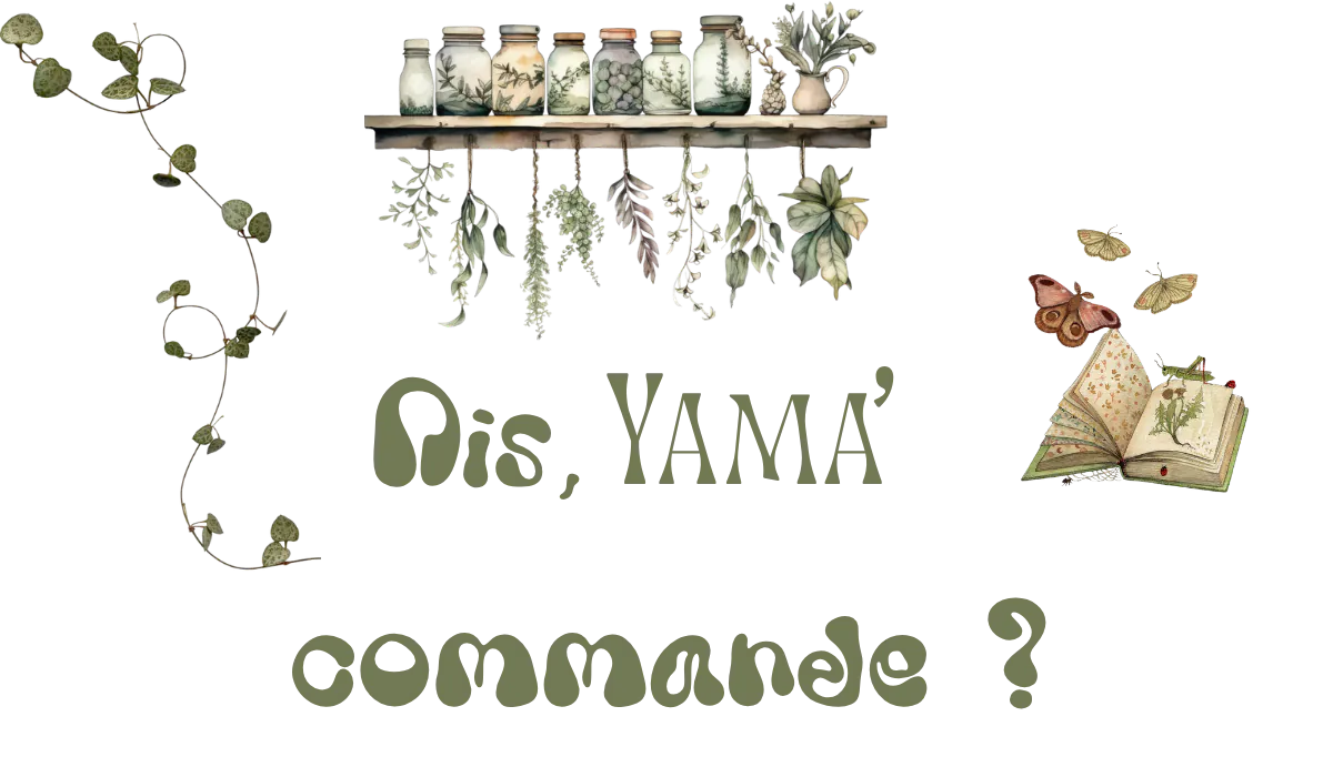 Titre 'Dis, Yama' commande ?' entouré d'un lierre, une étagère avec différents ingrédients disposés dessus et un livre sur les ingrédients