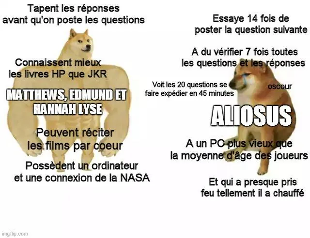Image postée par le membre