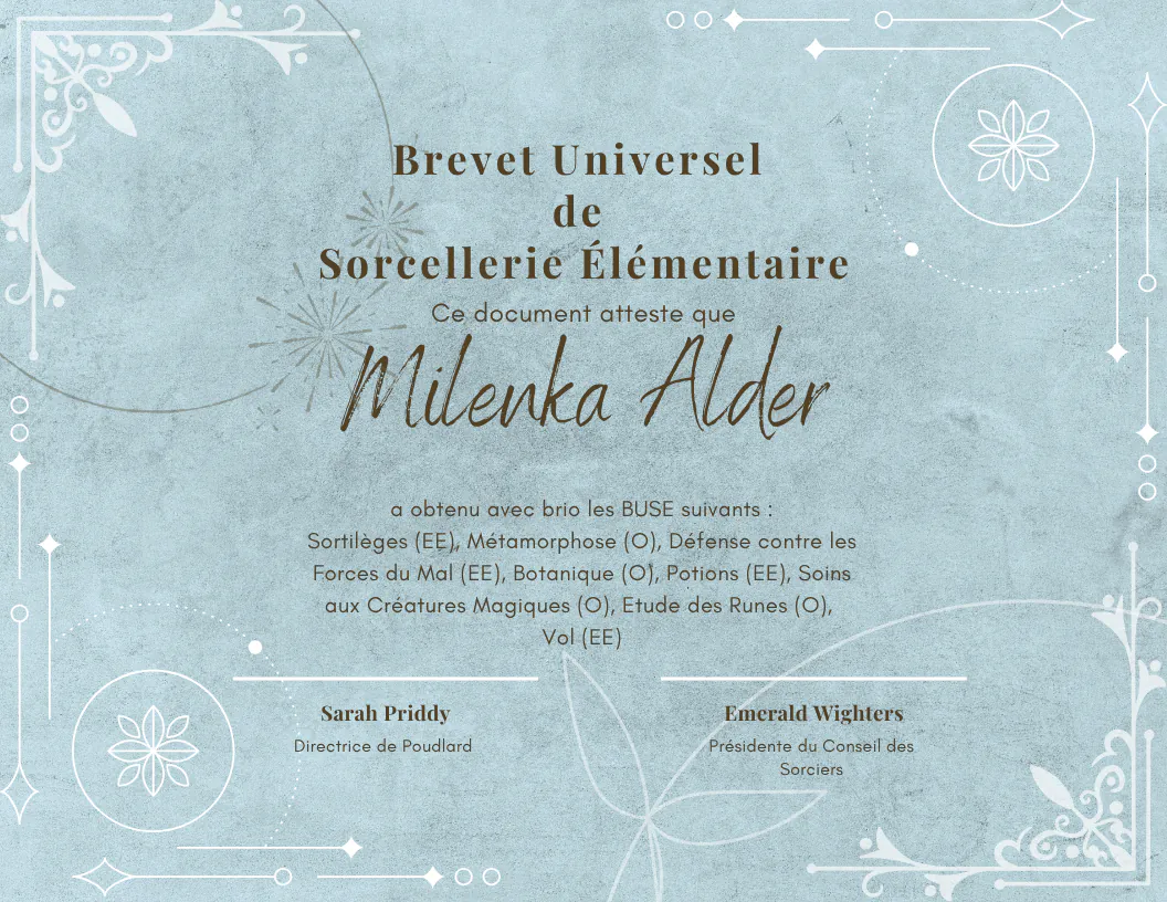 BUSE de Milenka Alder