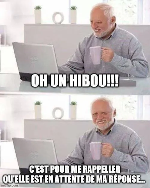 Image postée par le membre