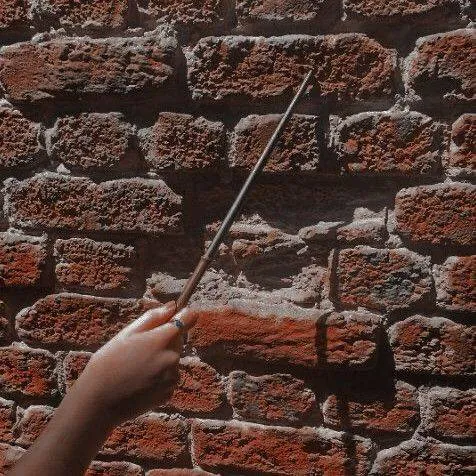Image postée par le membre