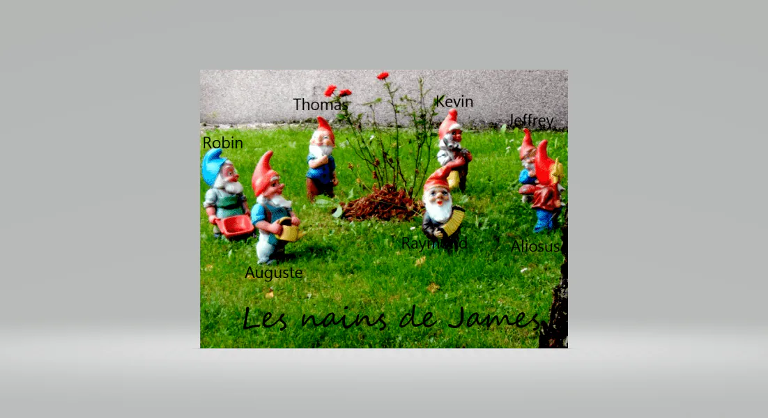 Image postée par le membre