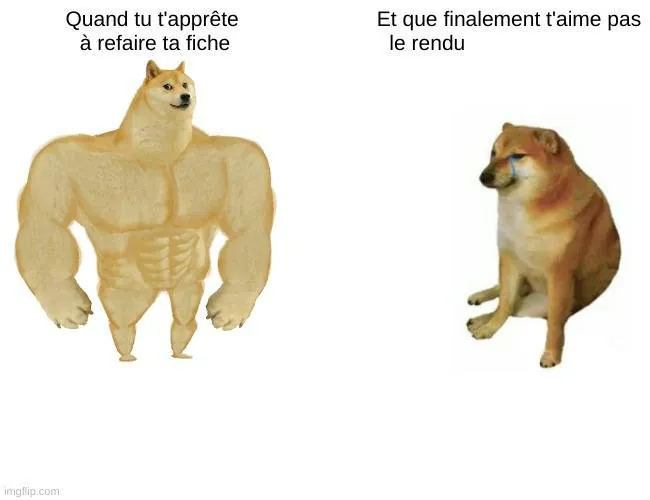 Image postée par le membre