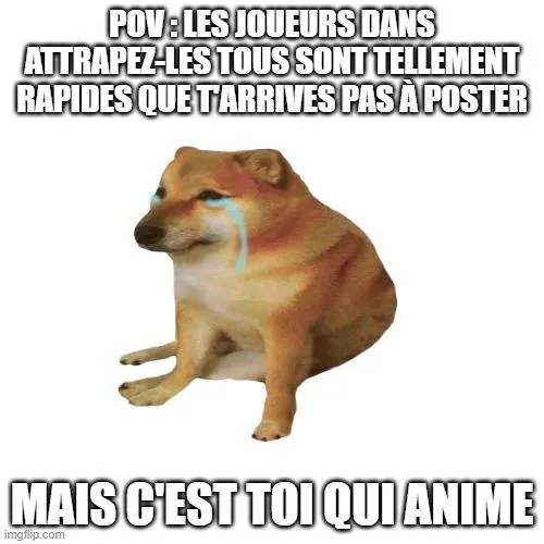 Image postée par le membre