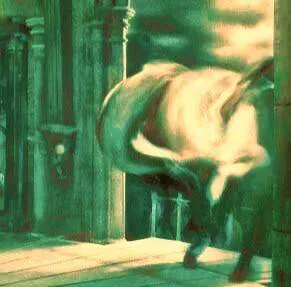 Image postée par le membre