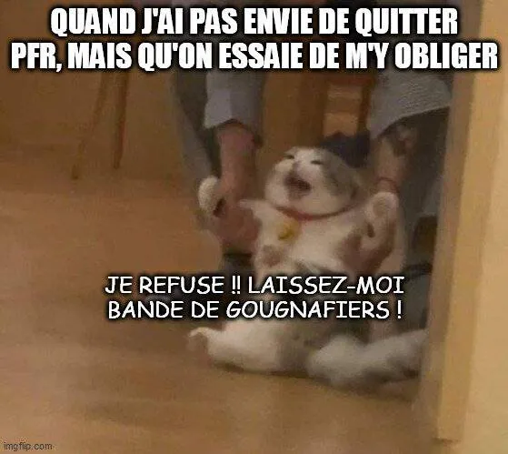 Image postée par le membre
